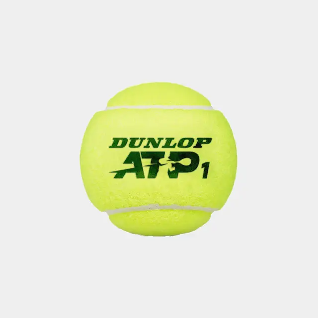 Dunlop ATP Championship 4-PET 