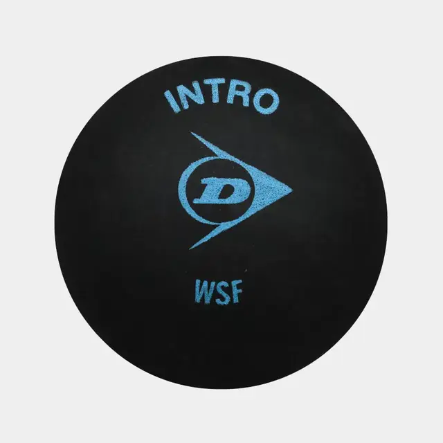 Dunlop INTRO - 12 Pack BLACK (SINGLE BLUE DOT) 