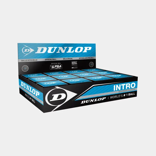 Dunlop INTRO - 12 Pack BLACK (SINGLE BLUE DOT) 